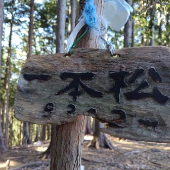 YAMAPに軌跡ないが行ける