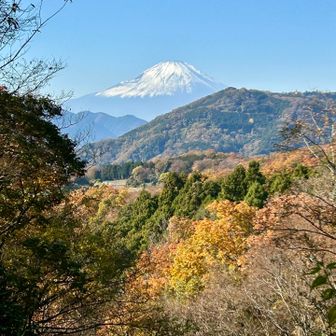 八国見山からお富士様