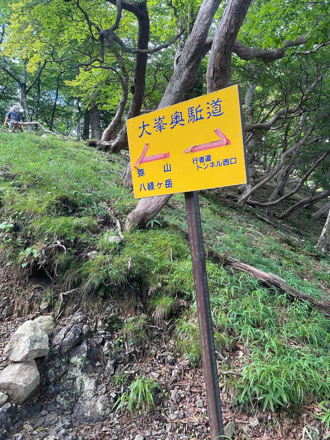 いつものキュンキュン💕する黄色看板🪧
