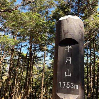 半月山到着
展望は特にないけど木漏れ日と森林浴✨