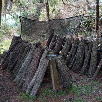 原木栽培　現在はしいたけ栽培のうち僅か6%だとか