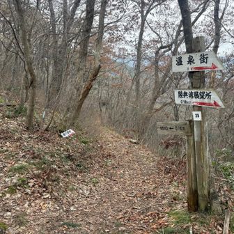 カタクリ見に行くかー