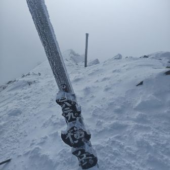 横岳は一度歩いているから安心感がある。