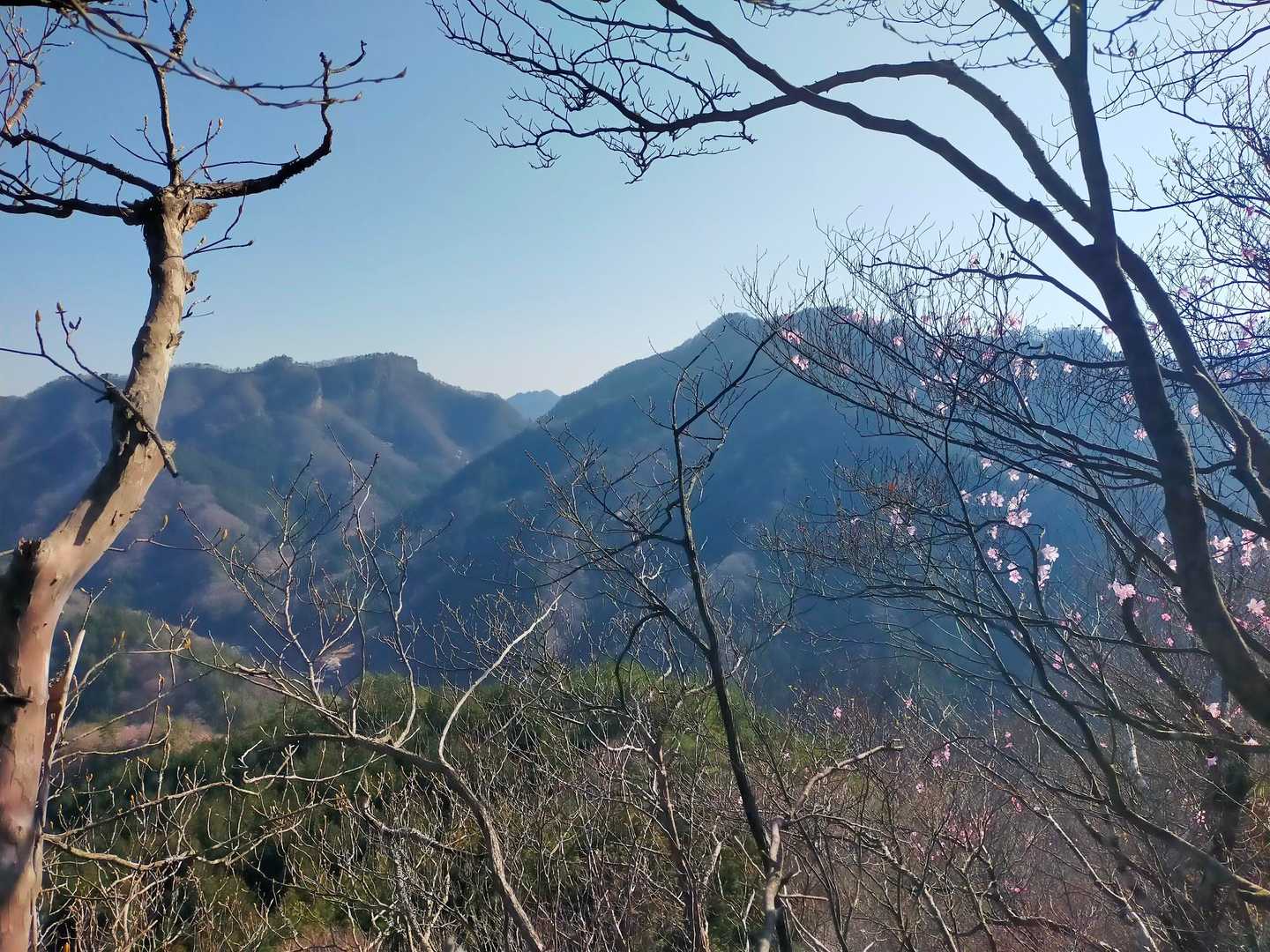 奥に四ッ又山　左が黒瀧山　右が富士浅間山かな