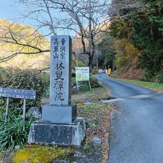 林叟院へ戻りました😊✨