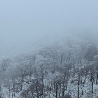 いい感じの😶‍🌫️