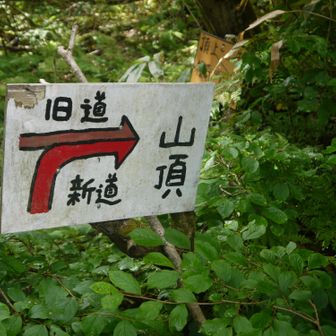 分岐