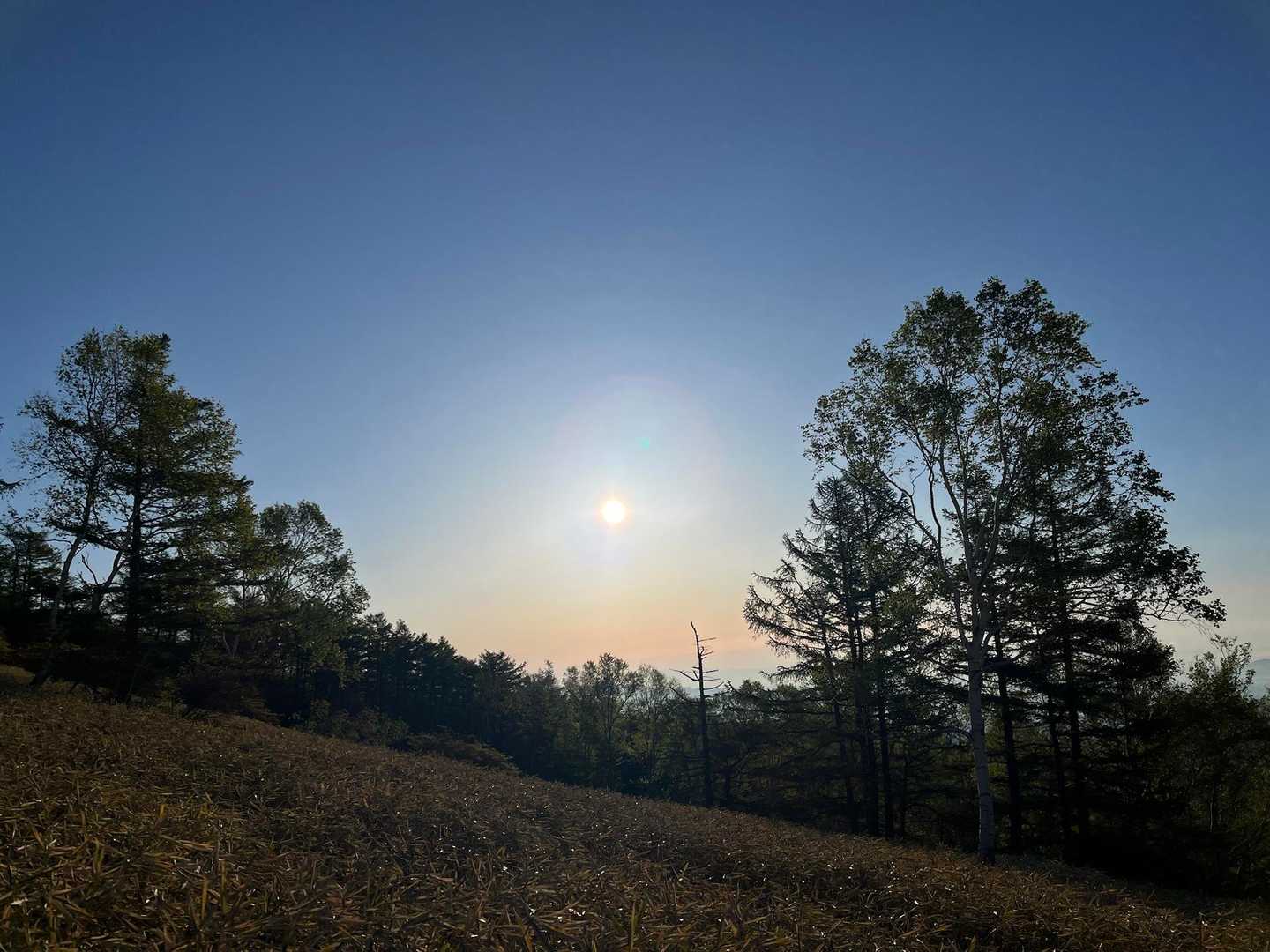おっはよ〜☀️