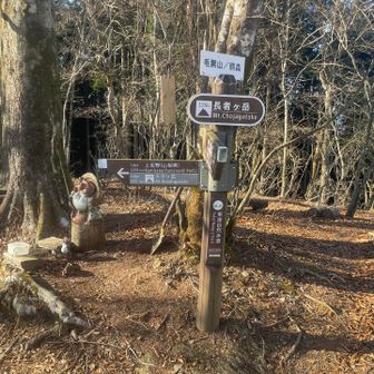山頂到着。たぬきがいた。