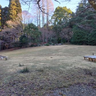 雪は消えています。遺跡も消失。