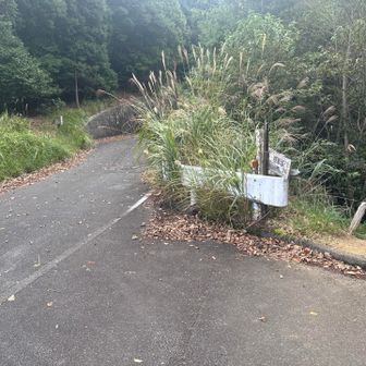 奥左から弓張岳に！右から下山しつつ稲荷山へ