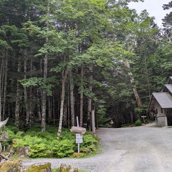 北沢峠に帰還。
ほぼほぼ遭難者が命拾いした時の心境w