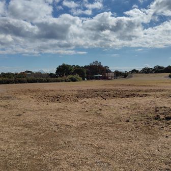 展望台を下りて先に進みます。
芝生が荒れているのはイノシシ、にしては傷が浅いから虫を狙った他の小型動物かな。