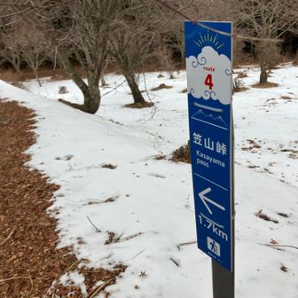 次行ってみよう。