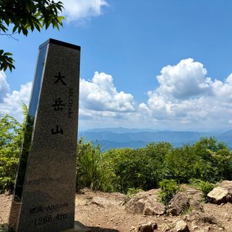山頂。今日は景色がいいぞ。奥には丹沢方面がよく見える。