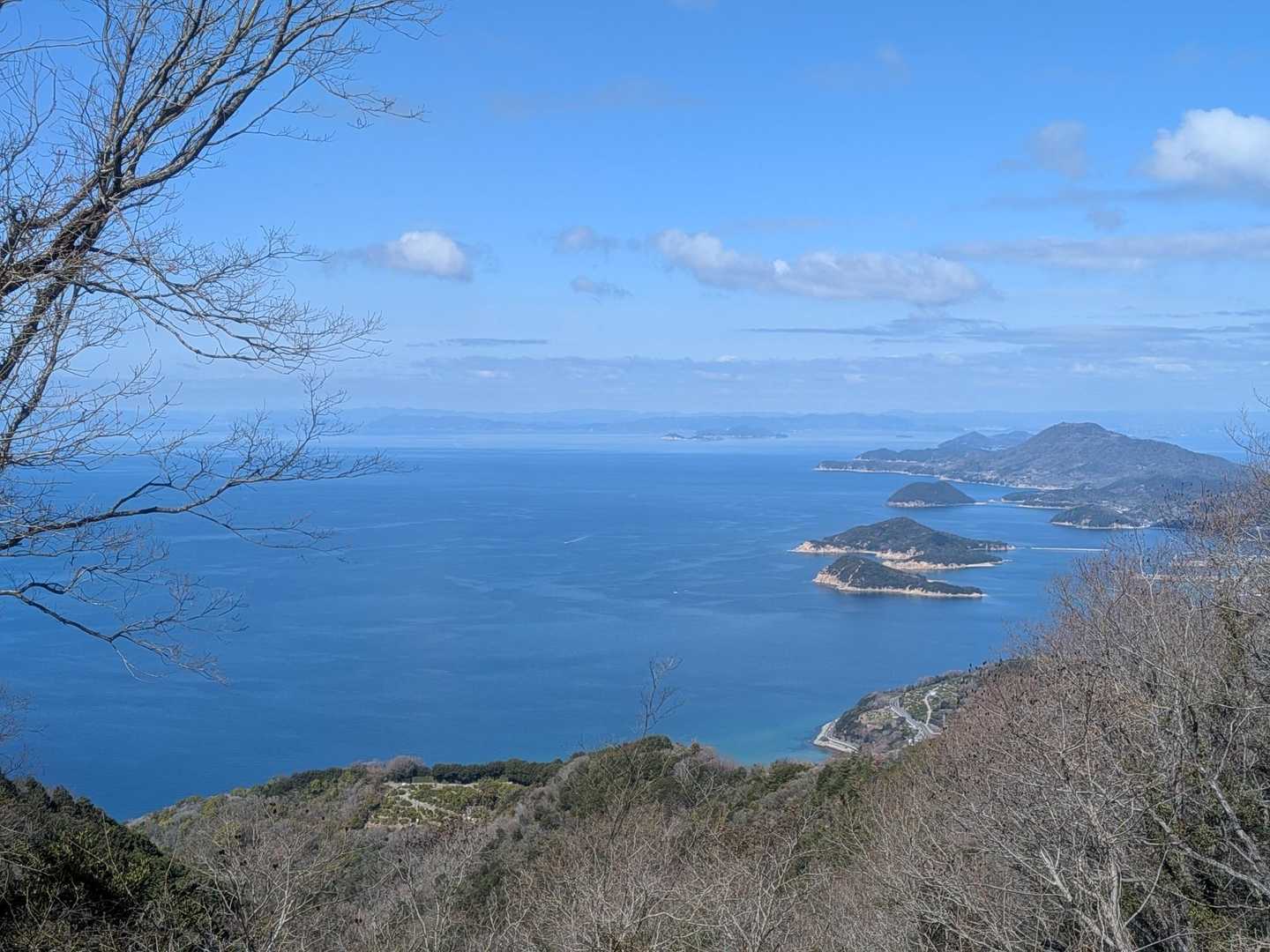 なかなか見れない