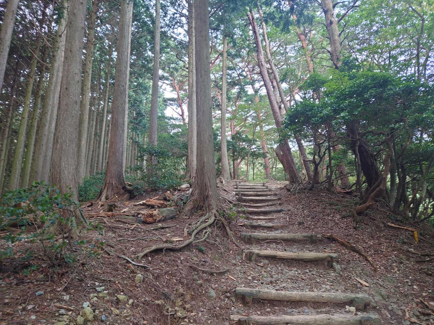 お寺の参道のような佇まい