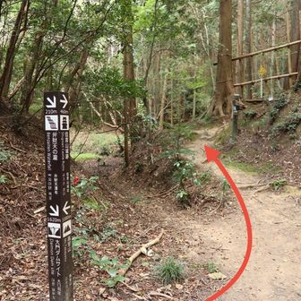 信貴山はコチラ