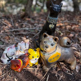 でもかわいい🩷