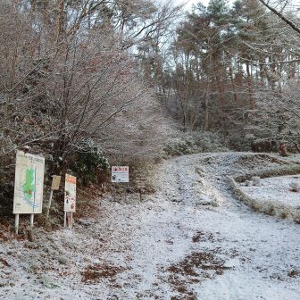 いつもの登山口からハイキング開始