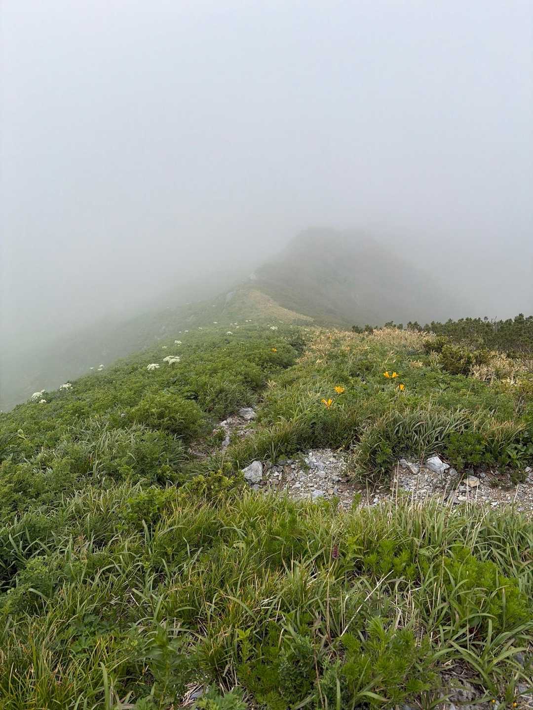 大平山 往復コースの写真
