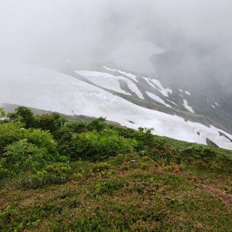 ガスガスで立ってる場所から何が見えるのかわからなかったけど、
おー！熊型