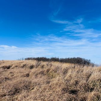 名残り惜しいけれど、、
飛行機の時間があるので下山します