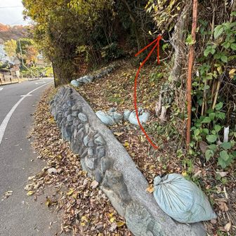 最後の山、こんぴら山への取りつき。想像通り、踏み跡はあるが細い急登。おまけに落ち葉だらけ
