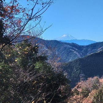 富士見台からは今回もちゃんと富士山お目見え。