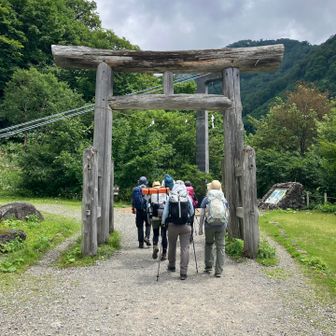 元気に歩き出します