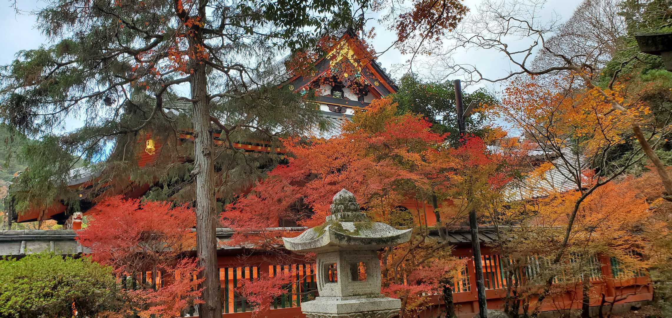 紅葉いいねー