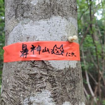 鼻神山にゃー🐱
鼻神山頂きました😊
鼻の字間違ってる〜🤣