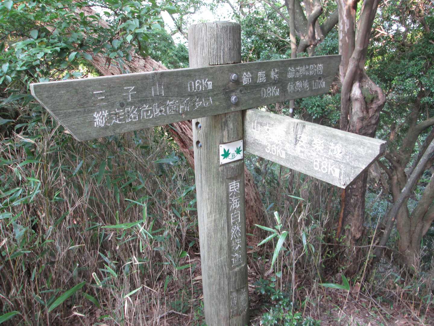 鈴鹿峠-三子山 往復コースの写真