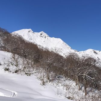 登山開始
猫が待ち構えている