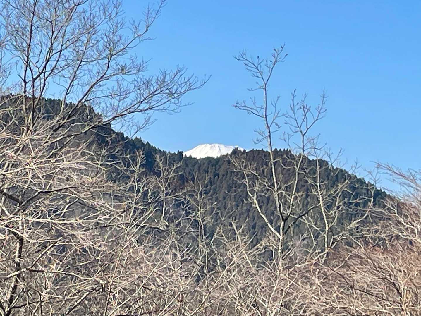 ひょっこり富士山🗻