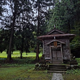すでに暗めな鳥坂神社