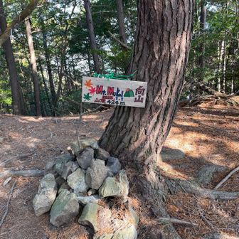 山頂に着く直前、階段まで足が上がらず、2回転倒🥲今日はもう限界のようです
