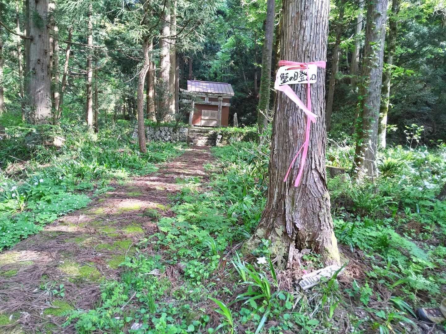 市谷の登山口-蟹ノ目山 周回コースの写真