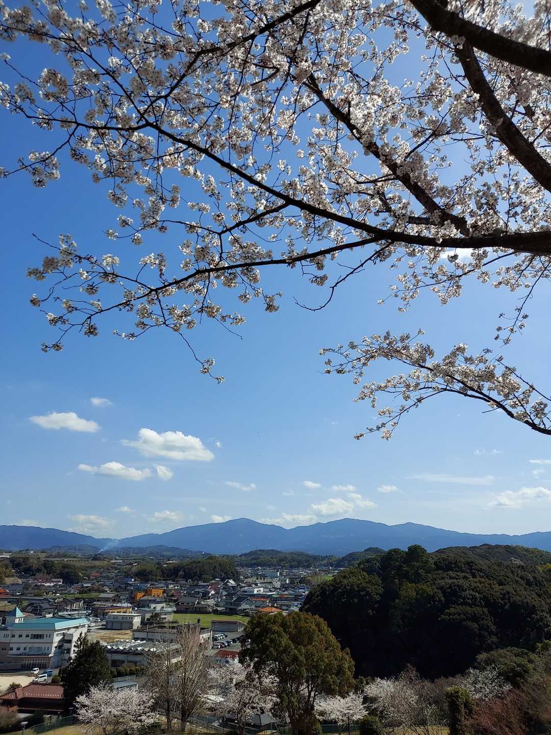 フシュウ山の写真