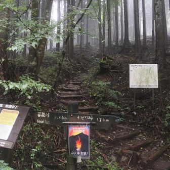 富士見橋登山口へ無事下山！ヤビツ峠まであと1.7kmの林道歩きへ