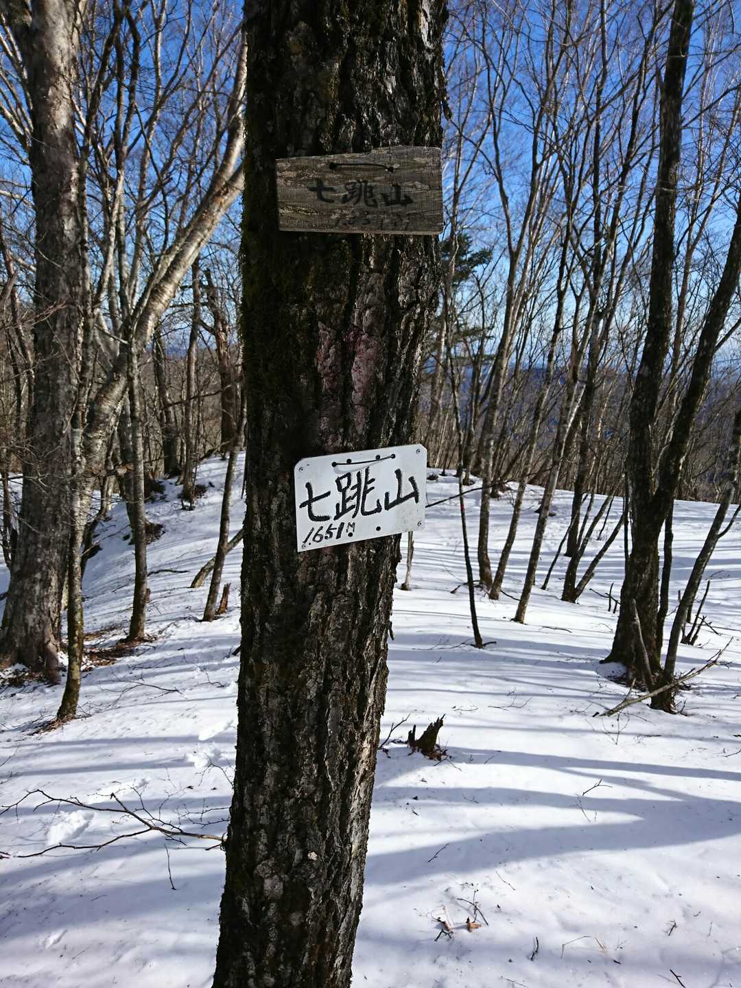 はい❗七跳山▲　700座目🙌