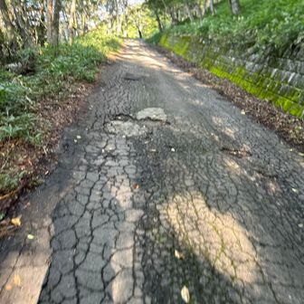 アスファルトの林道