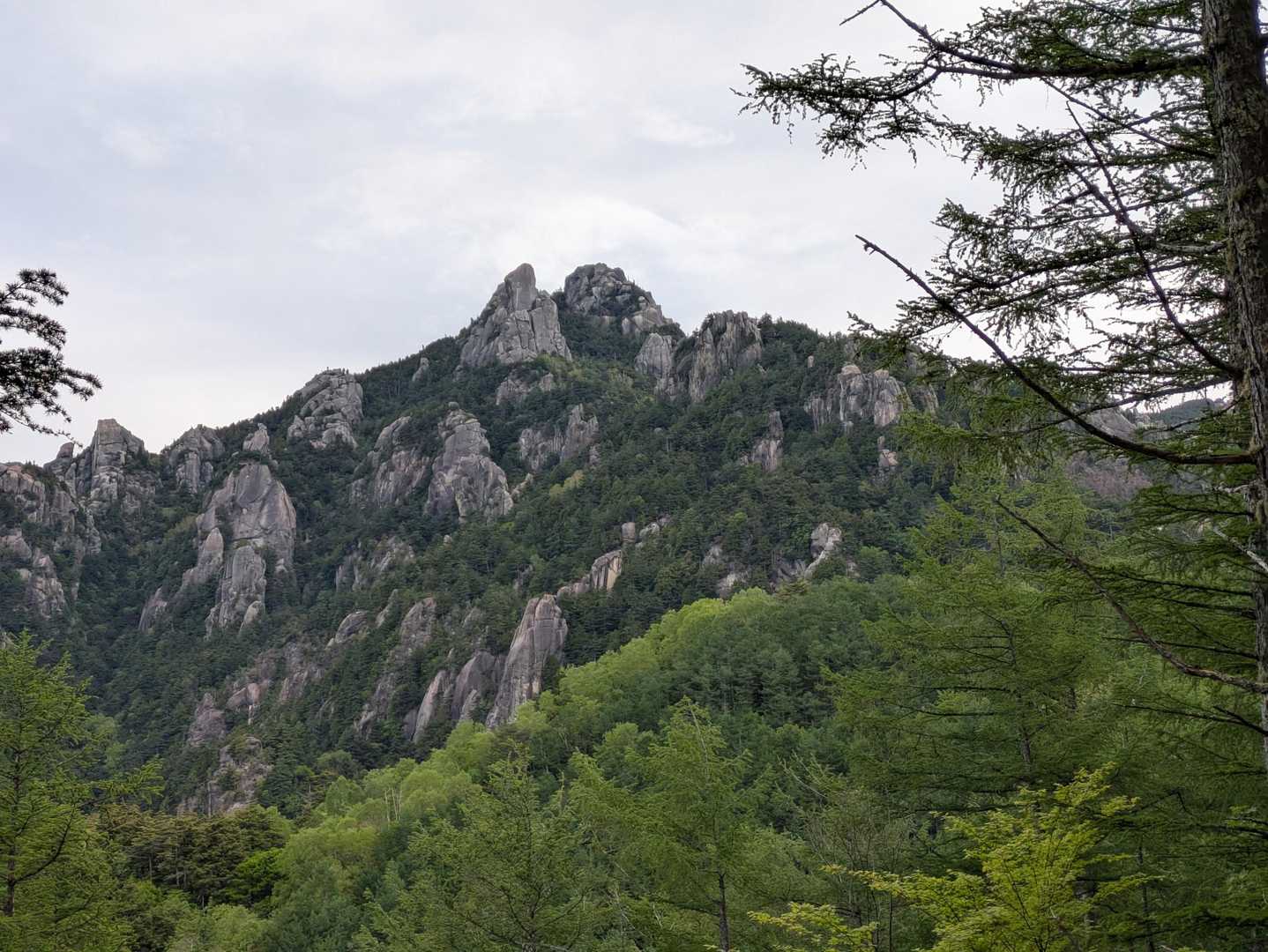 富士見平小屋へ向かう稜線まで出ると、瑞牆山が目視可…切り立った岩のせいか、数値以上の標高差があるように感じる