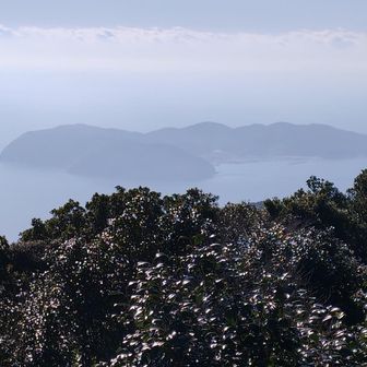 遠く…沼島ﾇｼﾏが見える❗😀②
https://nushima-yoshijin.jp/