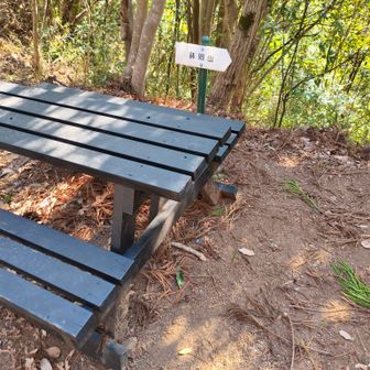 コーヒーとしいたけ茶爆飲み