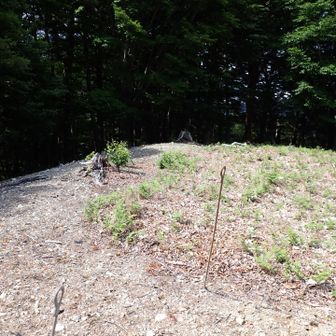 矢筈山南峰なんもなし