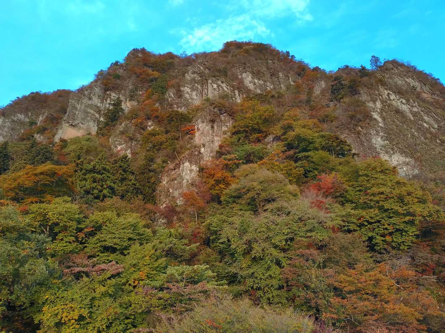 妙義神社 一の鳥居-妙義神社総門-白雲山登山口-大のぞき- 周回コースの写真