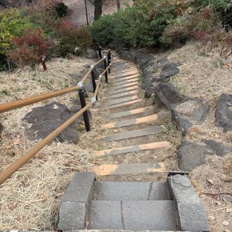 劇下り😮慎重に