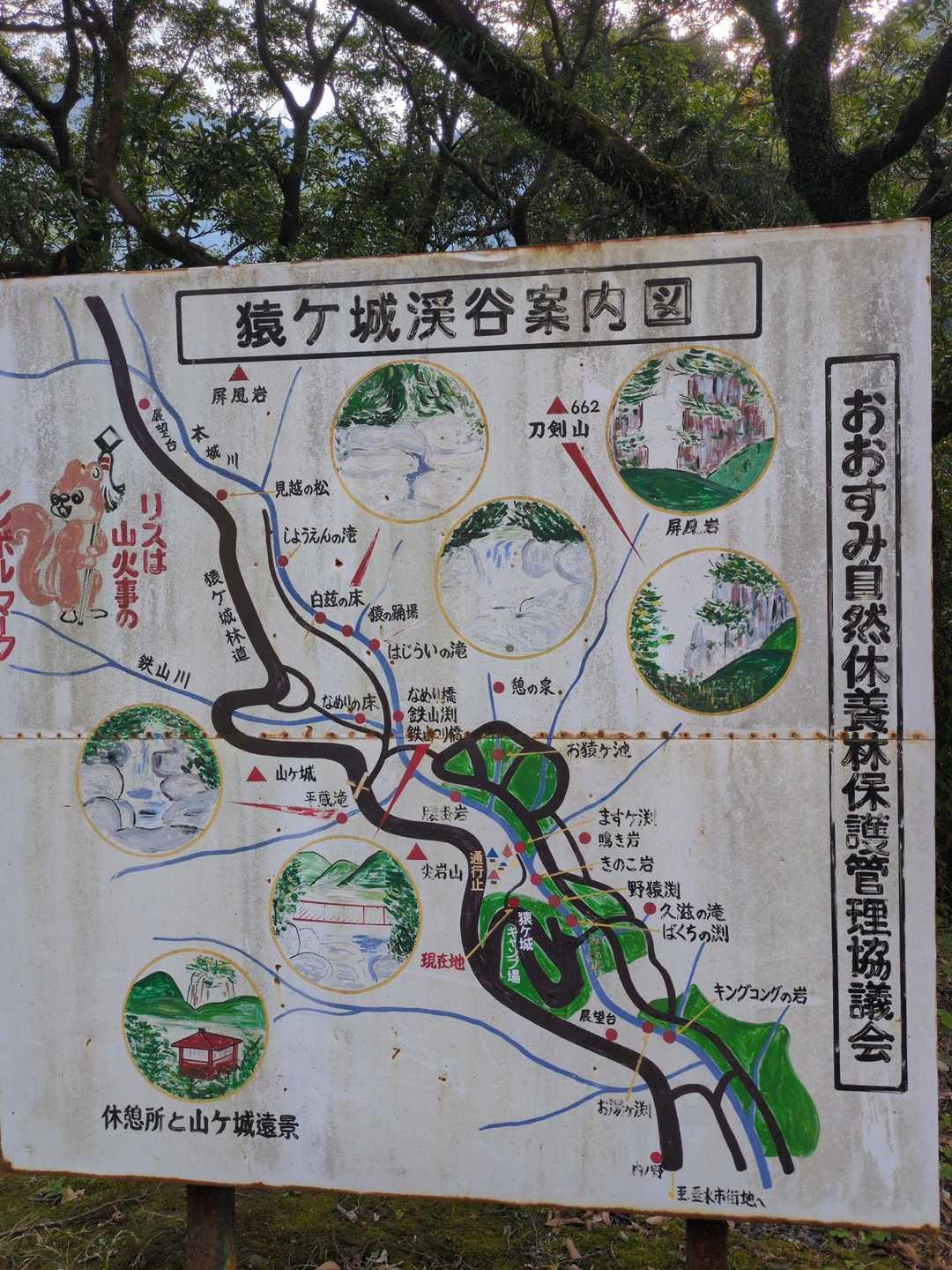 お久しぶりです