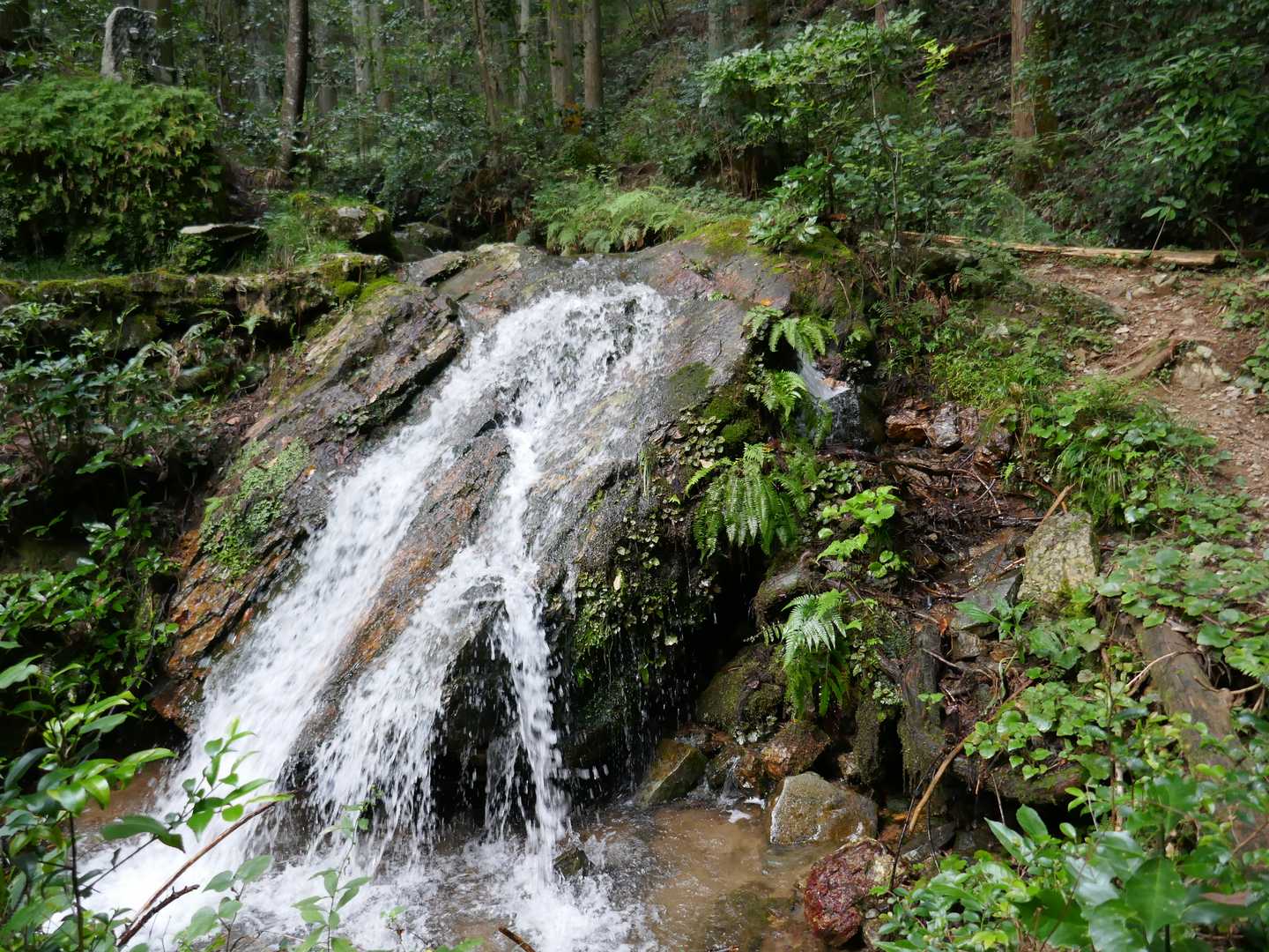 東洞登山口-誕生山 周回コースの写真